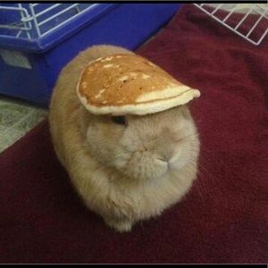 Meet your Posher, Vinny